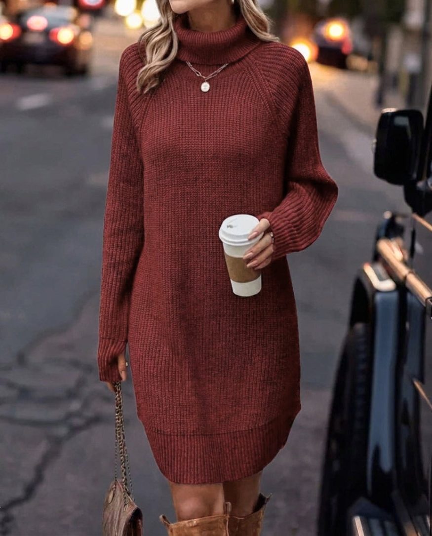 Hedwige | Ribbed Knit Sweater Dress with Roll Neck and Long Sleeves for Women