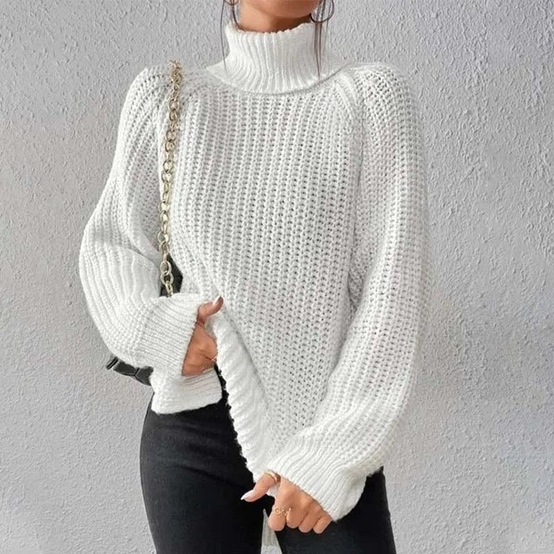 Ivy | Ribbed Knit Jumper with Roll Neck for Women