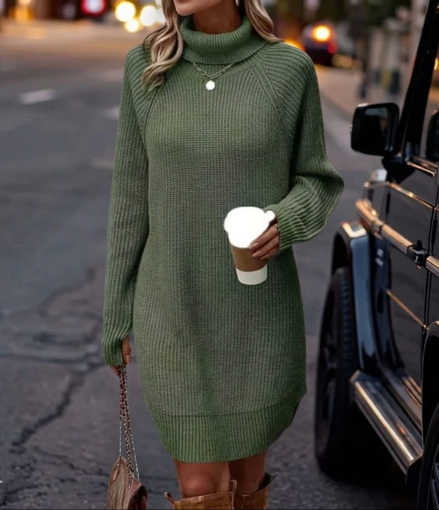 Hedwige | Ribbed Knit Sweater Dress with Roll Neck and Long Sleeves for Women